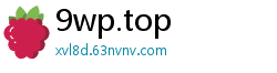 9wp.top